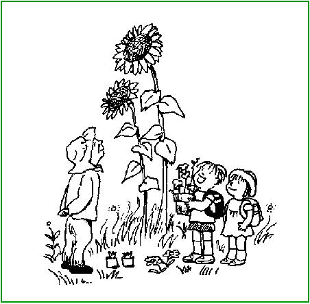 ohana_illust.jpg (41612 �o�C�g)