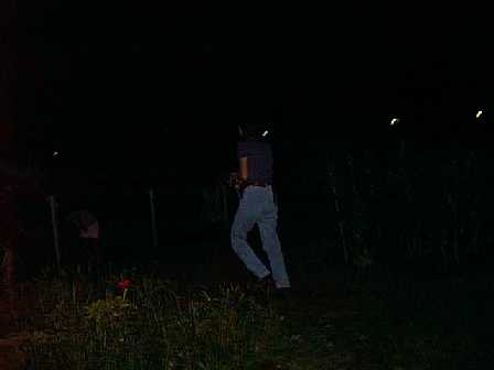 12.jpg (6423 バイト)